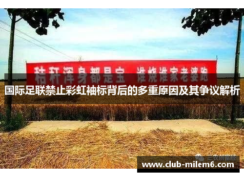 国际足联禁止彩虹袖标背后的多重原因及其争议解析