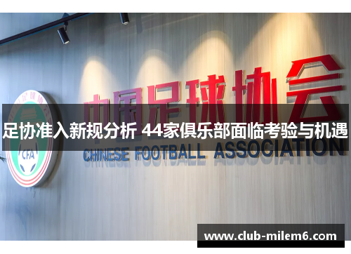 足协准入新规分析 44家俱乐部面临考验与机遇