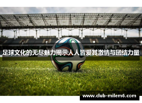 足球文化的无尽魅力揭示人人皆爱其激情与团结力量 足球文化的无尽魅力揭示人人皆爱其激情与团结力量