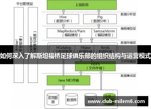 如何深入了解斯坦福桥足球俱乐部的组织结构与运营模式